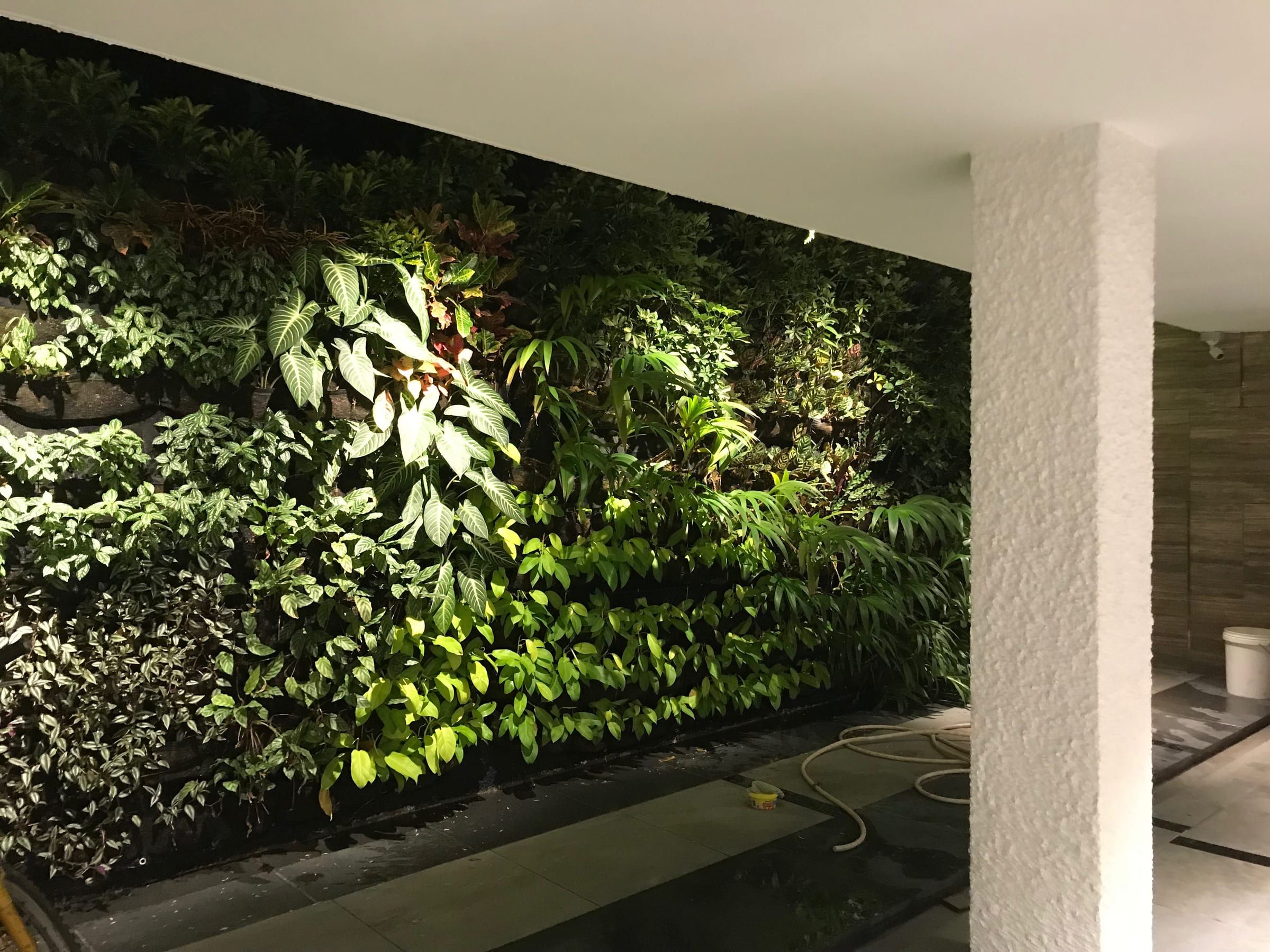 Lornie Road, view 3
